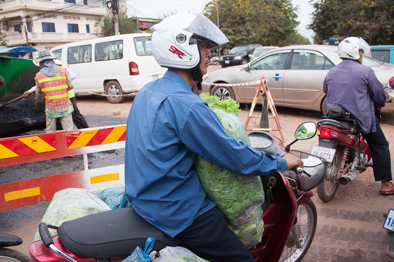 Lettuce waiting for left turn